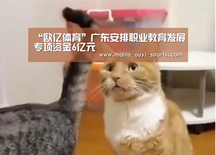 “欧亿体育”广东安排职业教育发展专项资金6亿元(图3) 欧亿体育