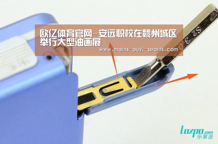 欧亿体育官网-安远职校在赣州城区举行大型油画展(图1) 欧亿体育团队