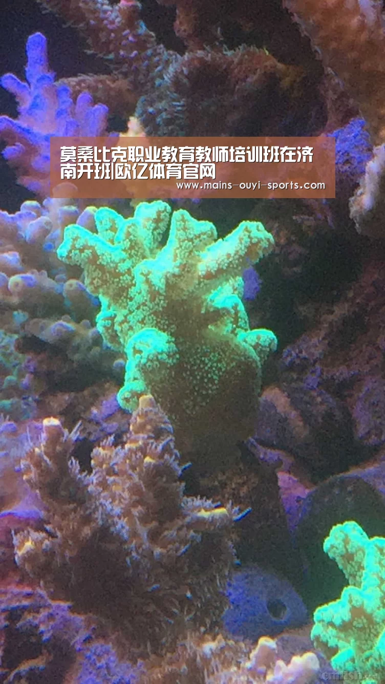 莫桑比克职业教育教师培训班在济南开班|欧亿体育官网(图1) 欧亿体育团队