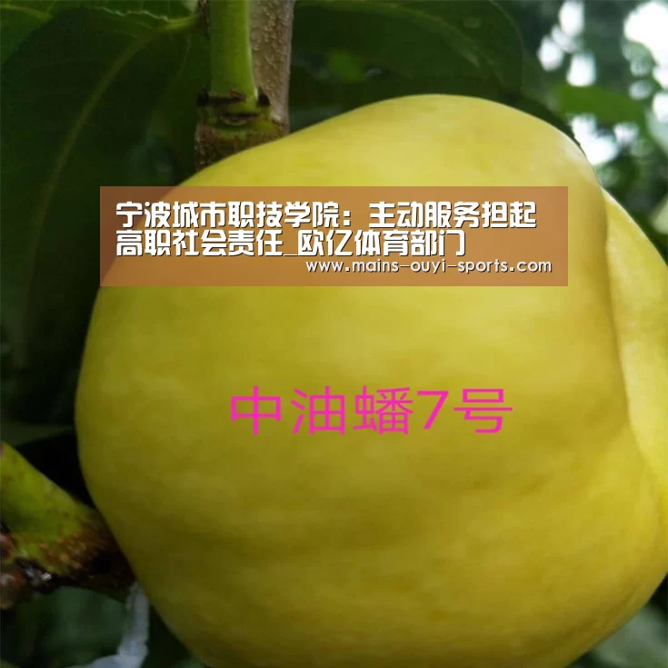 宁波城市职技学院:主动服务担起高职社会责任_欧亿体育部门(图3) 欧亿体育公司