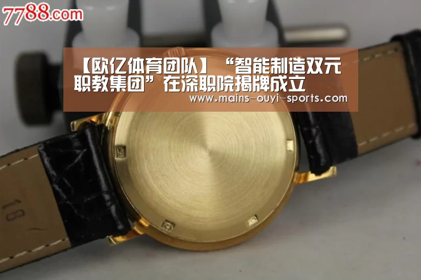 【欧亿体育团队】“智能制造双元职教集团”在深职院揭牌成立(图4) 欧亿体育部门