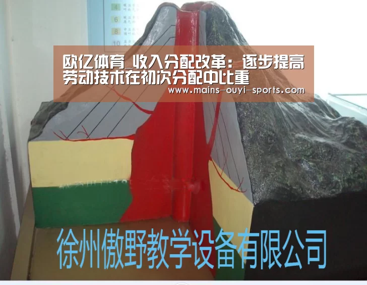 欧亿体育_收入分配改革:逐步提高劳动技术在初次分配中比重(图2) 欧亿体育官网