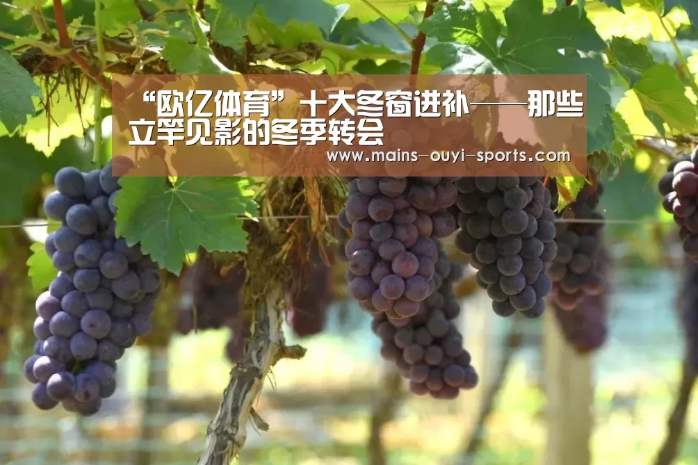 “欧亿体育”十大冬窗进补——那些立竿见影的冬季转会(图3) 欧亿体育团队