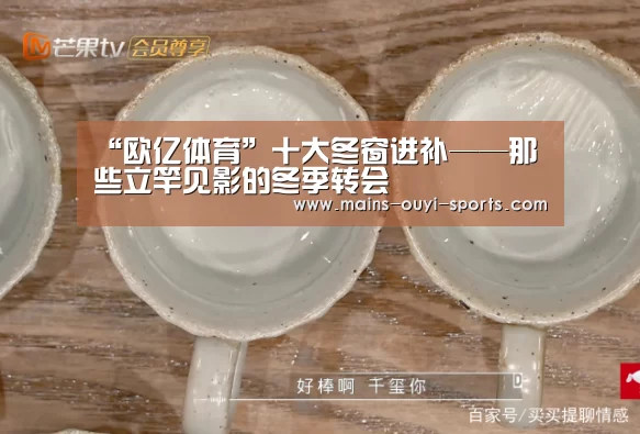 “欧亿体育”十大冬窗进补——那些立竿见影的冬季转会(图4) 欧亿体育公司