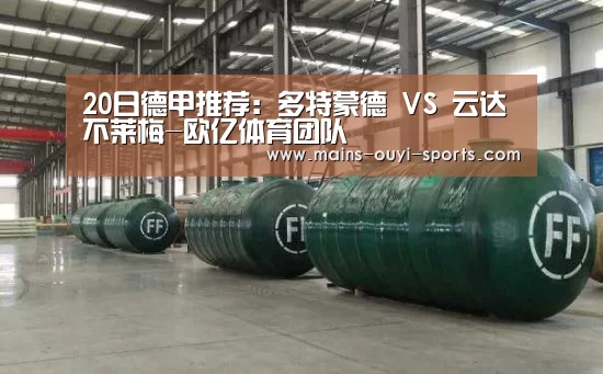 20日德甲推荐:多特蒙德 VS 云达不莱梅-欧亿体育团队(图2) 欧亿体育公司