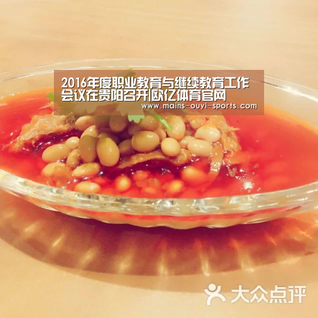 2016年度职业教育与继续教育工作会议在贵阳召开|欧亿体育官网(图3) 欧亿体育公司