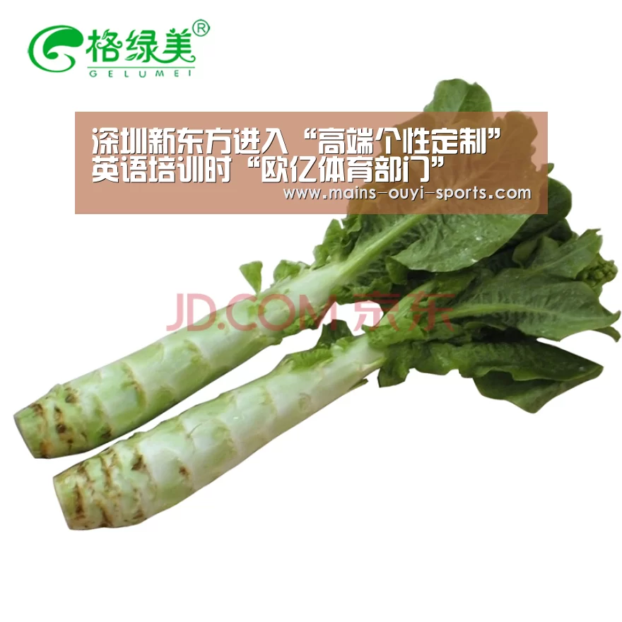 深圳新东方进入“高端个性定制”英语培训时“欧亿体育部门”(图2) 欧亿体育团队