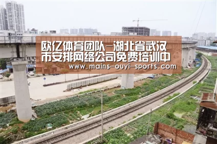 欧亿体育团队-湖北省武汉市安排网络公司免费培训中职校计算机教师(图1) 欧亿体育官网
